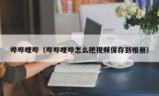 哔哔哩哔（哔哔哩哔怎么把视频保存到相册）