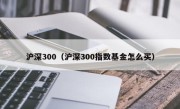 沪深300（沪深300指数基金怎么买）