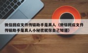 微信回应文件传输助手是真人（微信回应文件传输助手是真人小秘密就你自己知道）